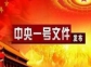 ?中央一號(hào)文件發(fā)布丨推動(dòng)農(nóng)村生活垃圾源頭減量、就地就近處理和資源化利用